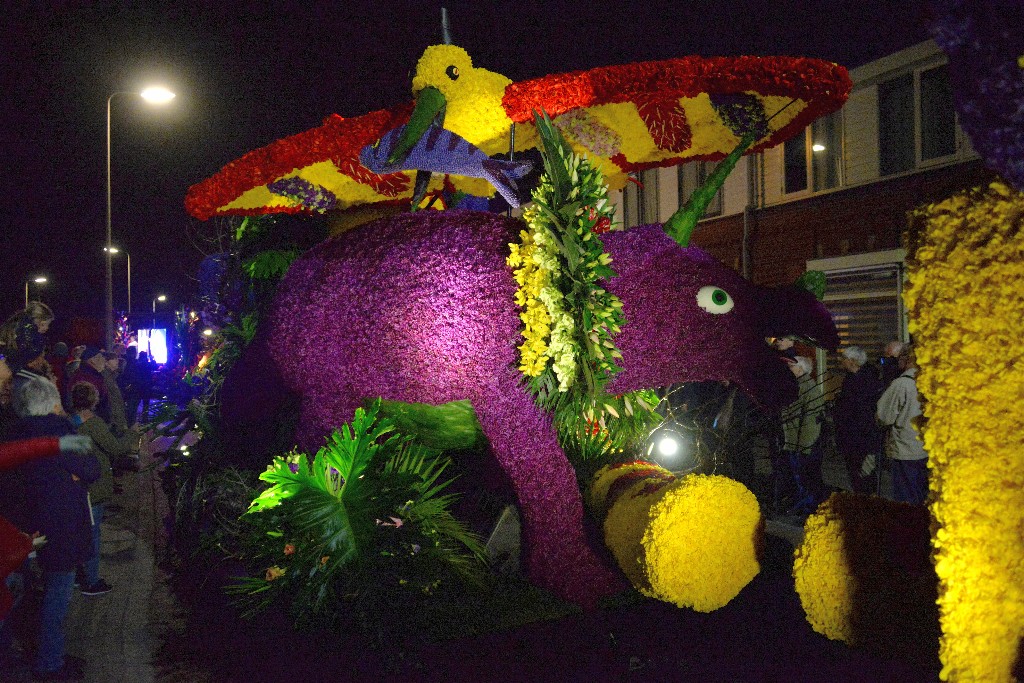 ../Images/Verlicht corso Noordwijkerhout 2019 059.jpg